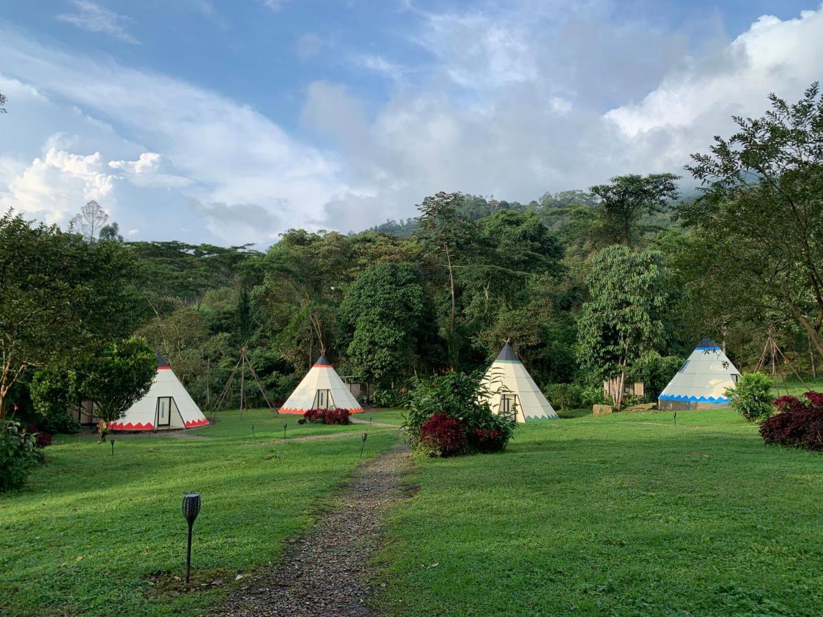 Отель Bosque De Aventura & Glamping Refugio Del Bosque Ла-Меса Экстерьер фото