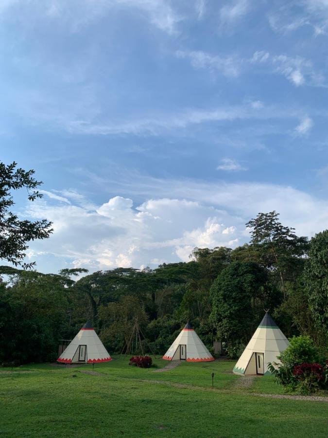 Отель Bosque De Aventura & Glamping Refugio Del Bosque Ла-Меса Экстерьер фото