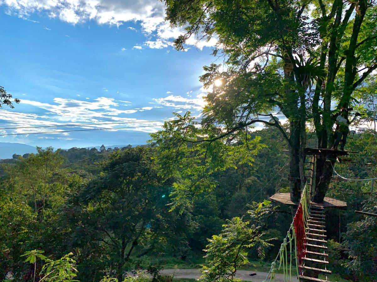 Отель Bosque De Aventura & Glamping Refugio Del Bosque Ла-Меса Экстерьер фото